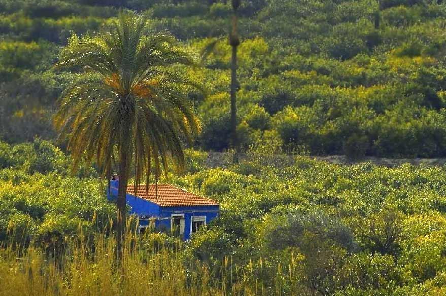 Sol Mediterraneo Archena Eksteriør billede